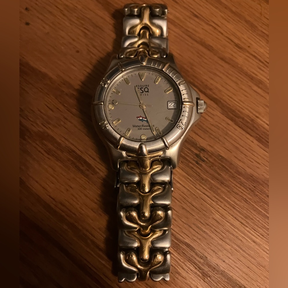 ESQ Silver and Gold men’s watch